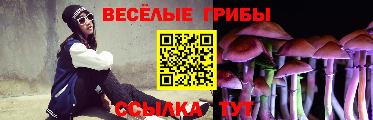 Галлюциногенные грибы Psilocybe Улан-Удэ
