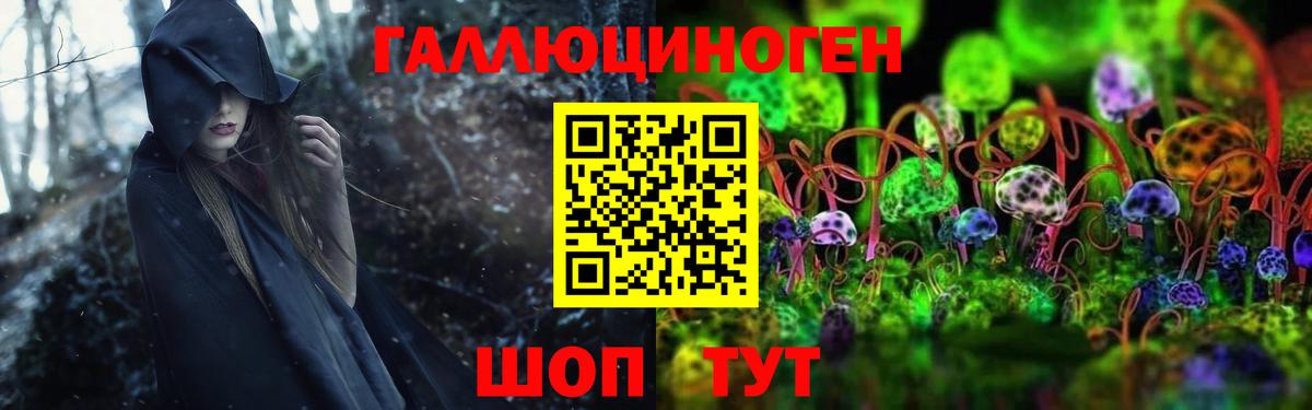 Псилоцибиновые грибы Psilocybe  Вход с VPN  Улан-Удэ 